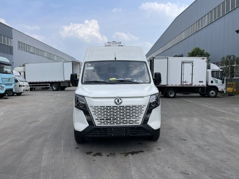 （厢长2.9M）东风御风V9面包冷藏车