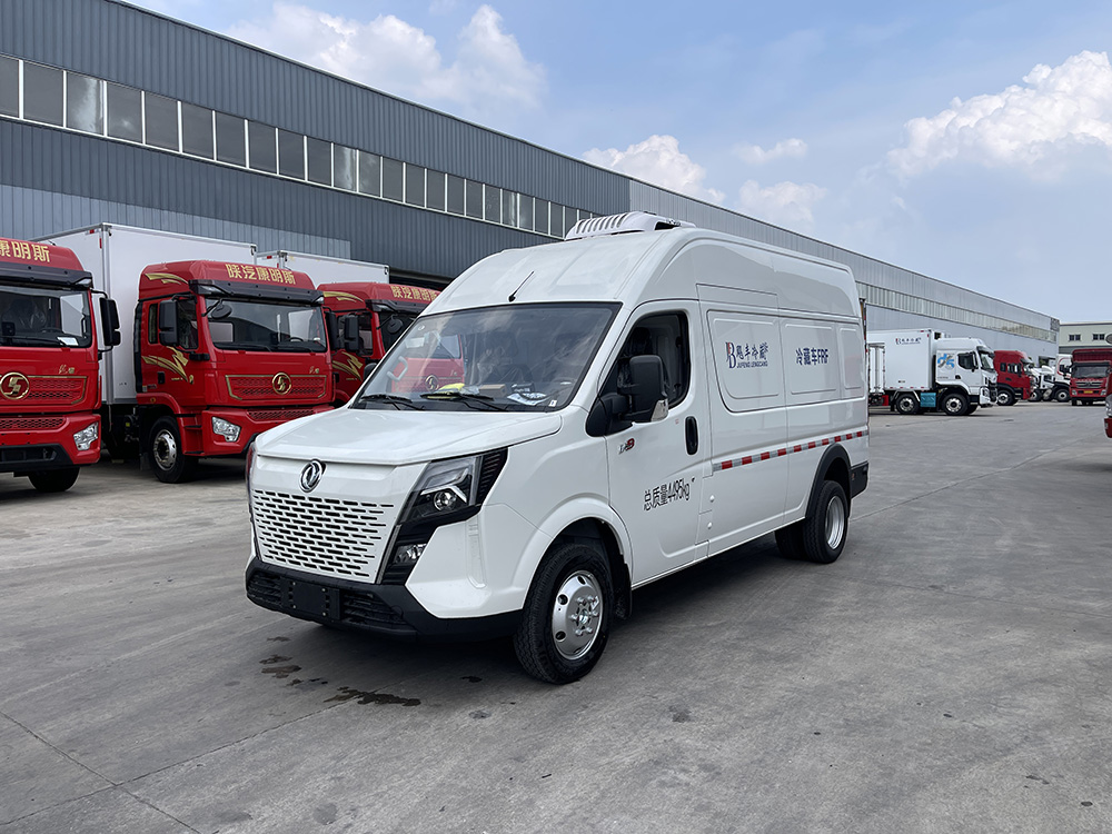（厢长2.9M）东风御风V9面包冷藏车