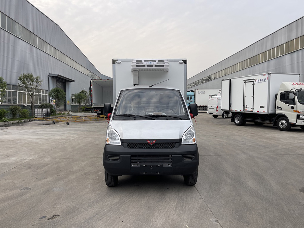 （厢长2.9M）五菱荣光小卡后单轮冷藏车