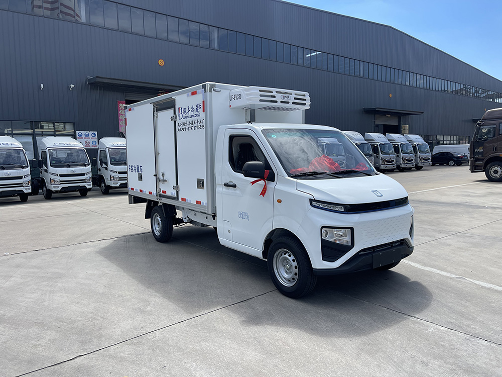 （厢长3.0M）吉利远程F1E纯电动冷藏车