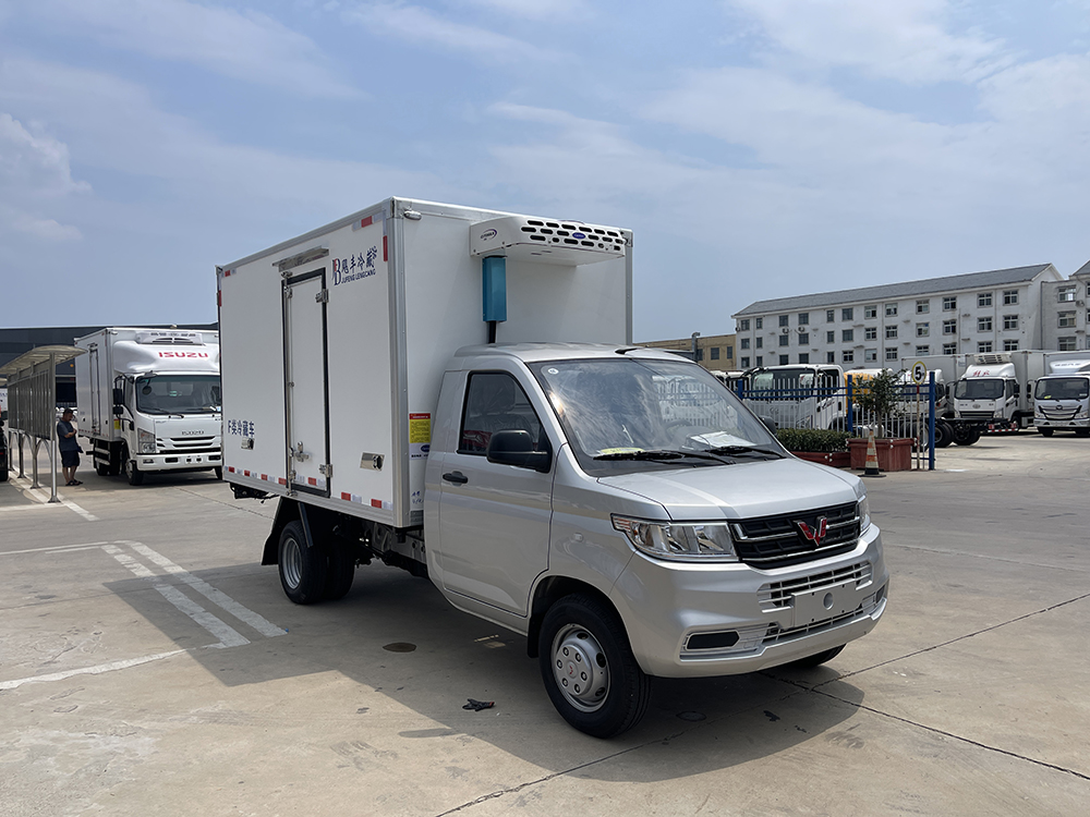（厢长3.3M）五菱荣光新卡后双轮冷藏车