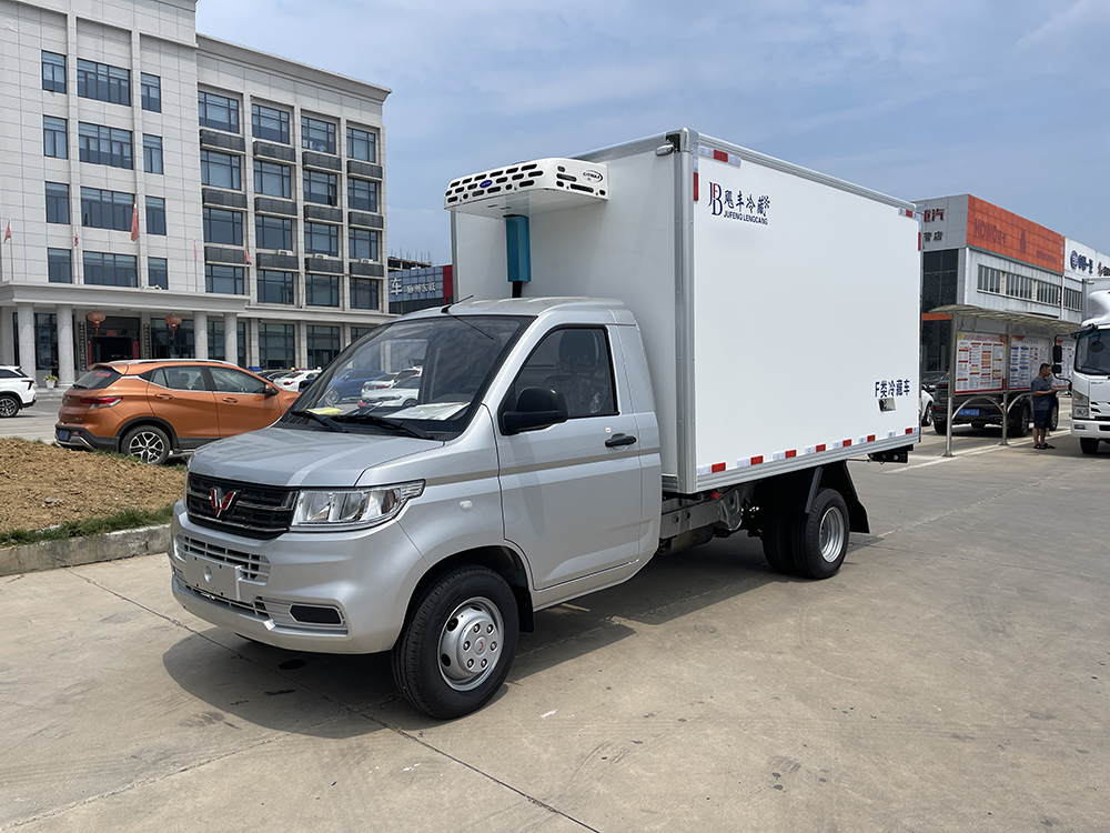 （厢长3.3M）五菱荣光新卡后双轮冷藏车