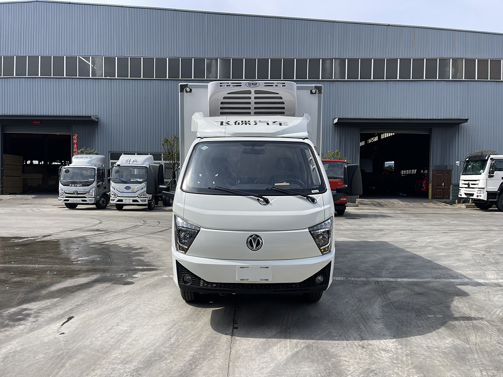 （厢长3.8M）飞碟缔途双燃料（CNG-汽油）冷藏车